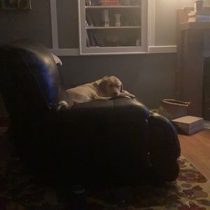 Meet your Posher, Todd